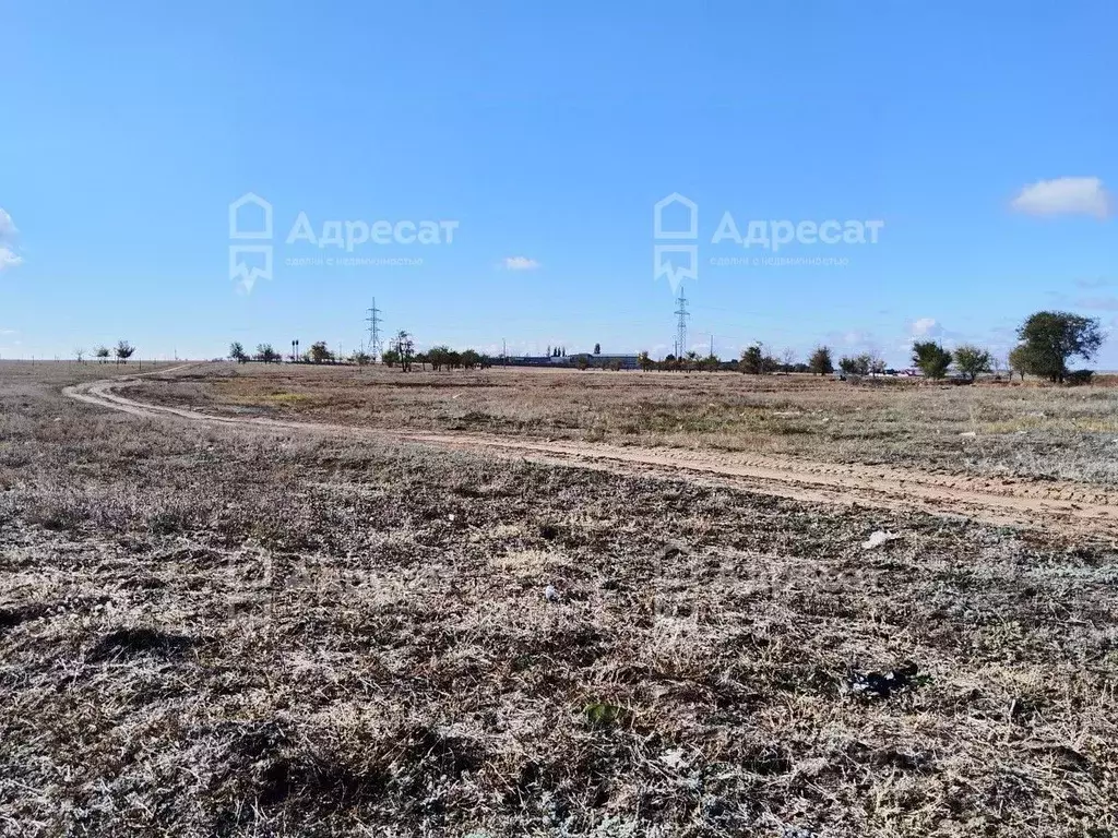 Участок в Волгоградская область, Городищенский район, Царицынское ... - Фото 1