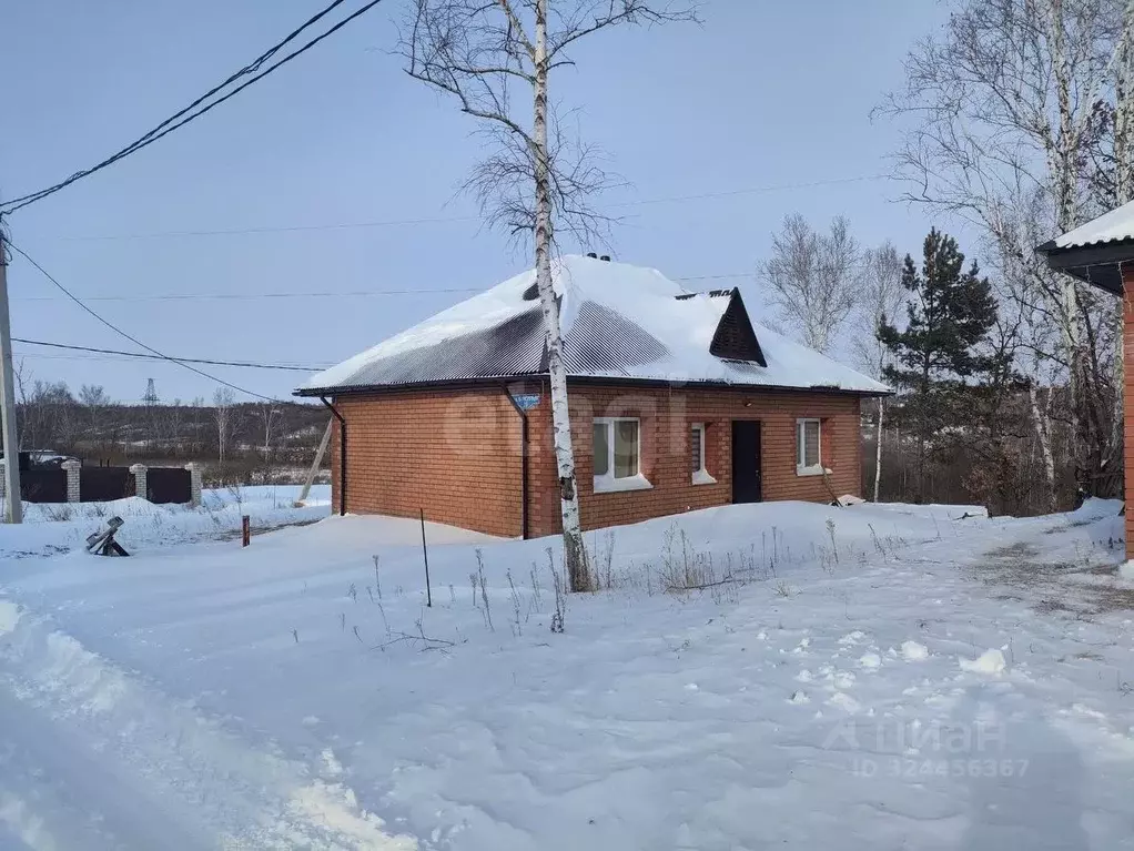 Дом в Амурская область, Благовещенский район, с. Чигири ул. Березовая, ... - Фото 2