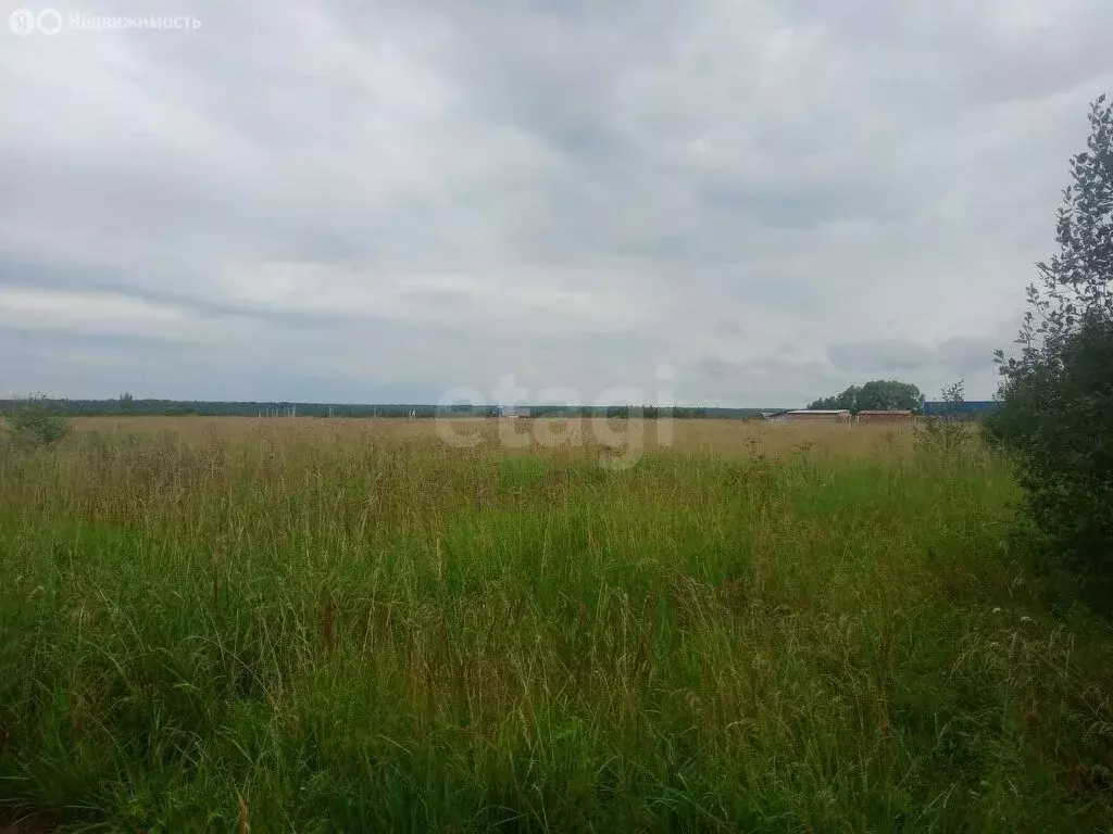 Участок в Глебовское, Сосновая улица (16.57 м) - Фото 1