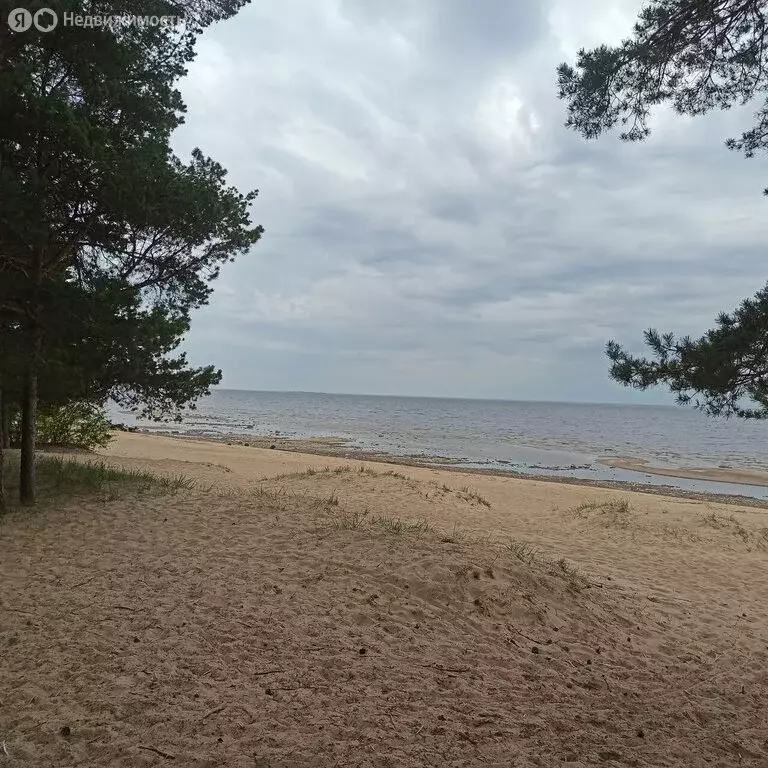 Дом в Приветнинское, Луговая улица (66 м) - Фото 0