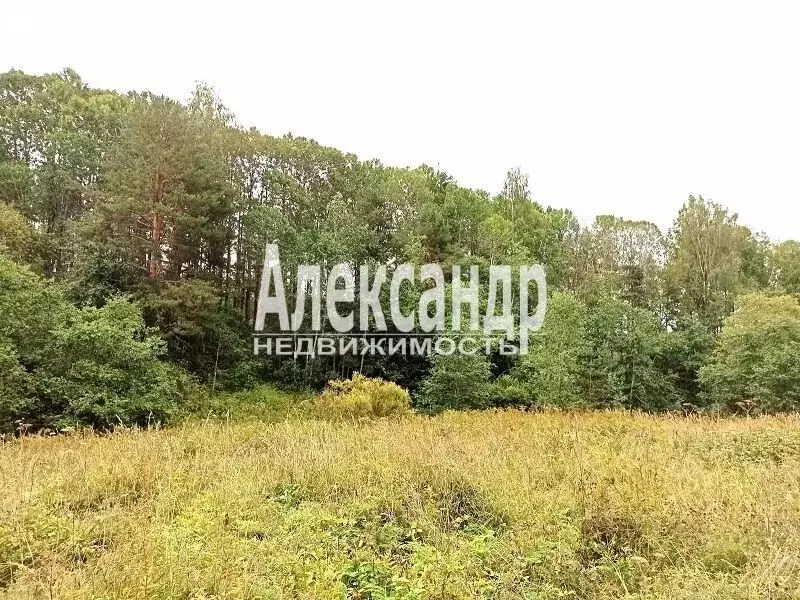 Участок в Республика Карелия, Сортавальский муниципальный округ, ... - Фото 2