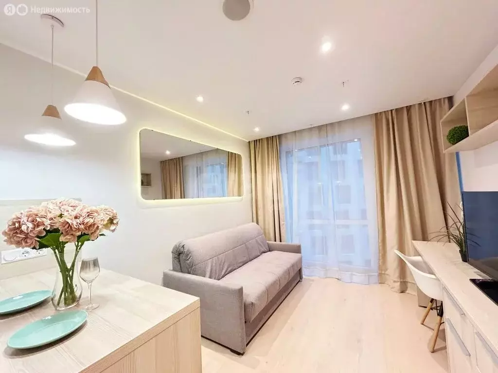 Квартира-студия: Санкт-Петербург, Социалистическая улица, 21 (24.1 м) - Фото 1