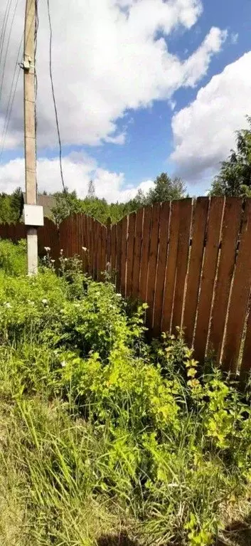 Участок в Московская область, Богородский городской округ, Плес-1 СНТ . - Фото 1