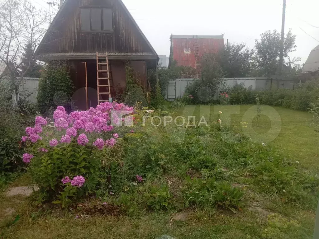 Участок 4 сот. (СНТ, ДНП) - Фото 1