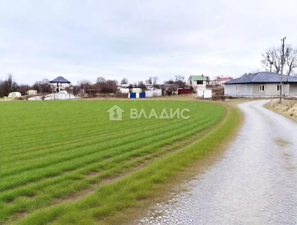 Участок в Калининградская область, Зеленоградский муниципальный округ, ... - Фото 2