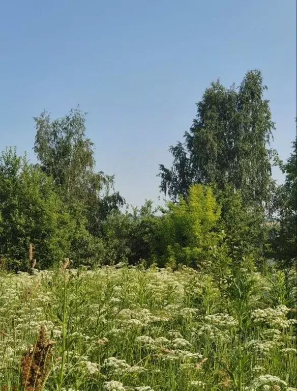 Участок в Нижегородская область, Нижний Новгород с. Варварское, ул. ... - Фото 2