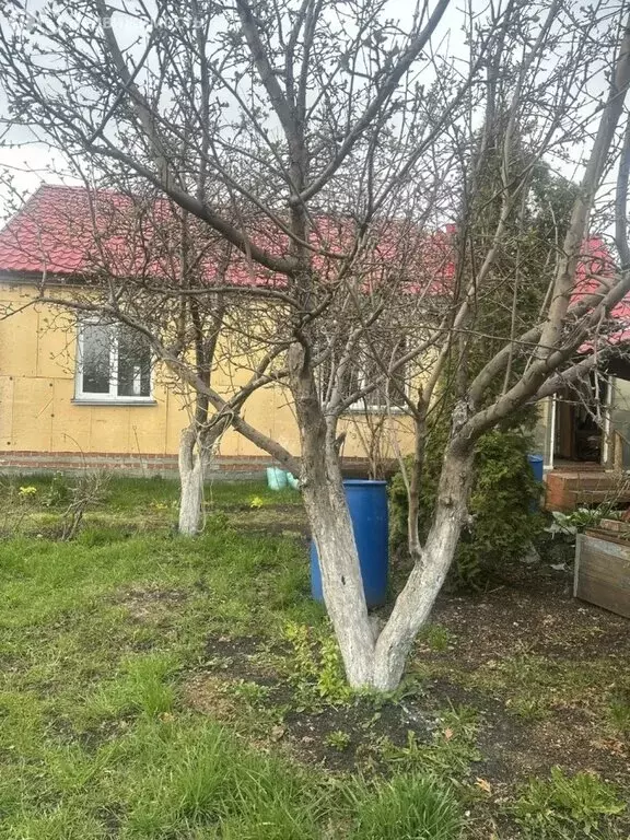 Дом в село Вознесенка, Школьная улица, 36 (93.7 м) - Фото 2