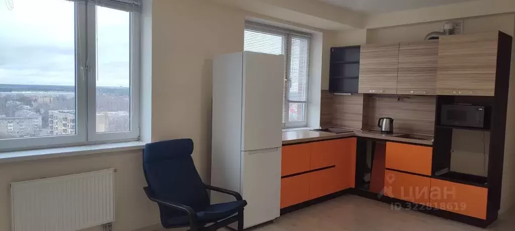 3-к кв. Московская область, Старая Купавна Богородский городской ... - Фото 2