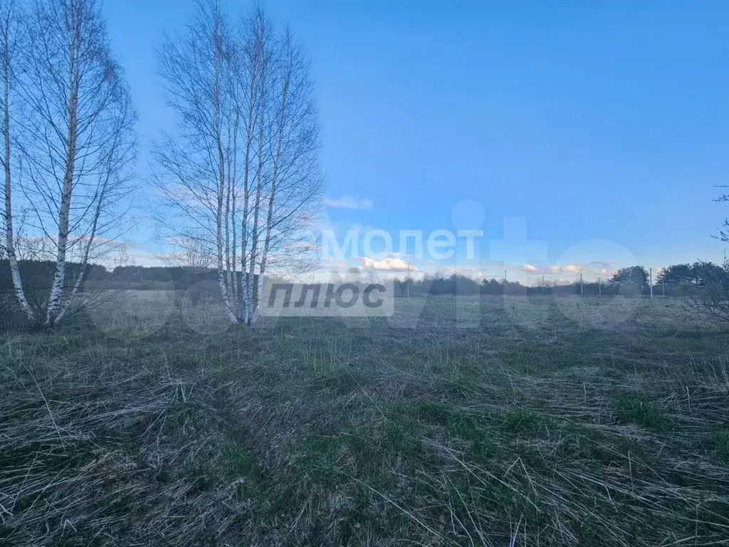 Участок 12,5 сот. (ИЖС) - Фото 1