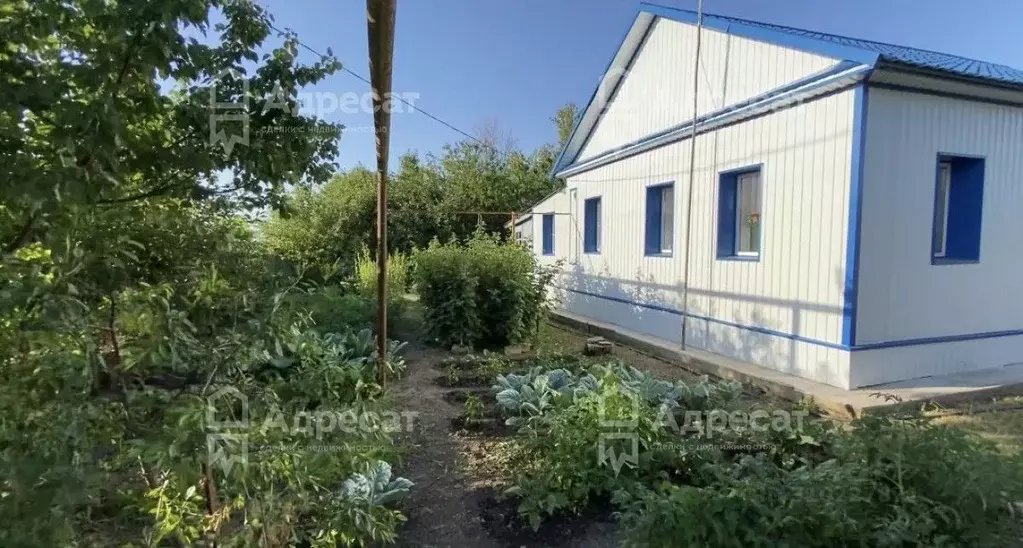 Дом в Волгоградская область, Новоаннинский Перевозинская ул. (62 м) - Фото 1