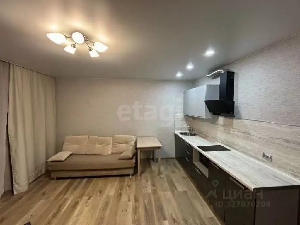 Студия Хабаровский край, Хабаровск Краснореченская ул., 225/1 (27.5 м) - Фото 1