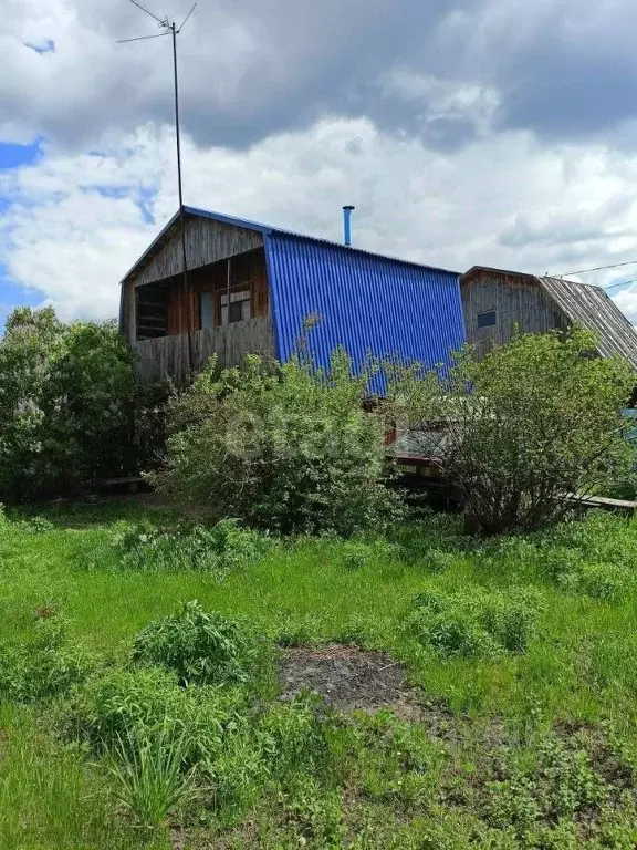 Участок в Ульяновская область, Тереньгульский район, Подкуровское ... - Фото 1