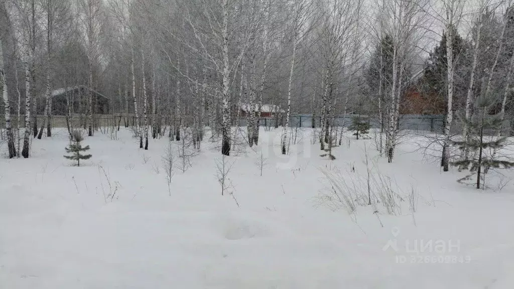 Участок в Тюменская область, Нижнетавдинский муниципальный округ, ... - Фото 1