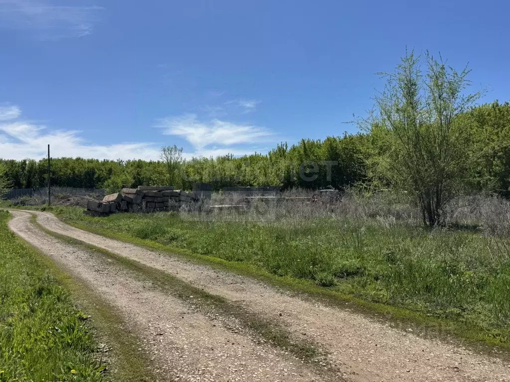 Участок в Оренбургская область, Оренбургский район, Сергиевский ... - Фото 0
