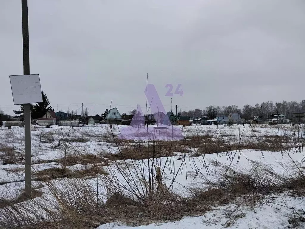 Участок в Алтайский край, Первомайский район, Вагоностроитель-2 СНТ ... - Фото 2