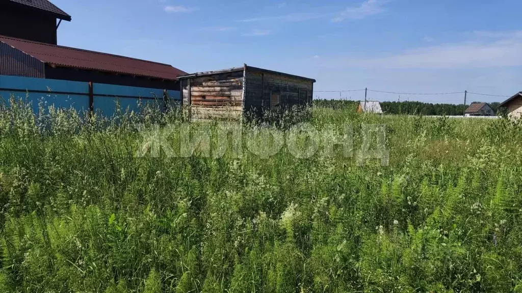 Участок в Новосибирская область, Новосибирский район, Станционный ... - Фото 2