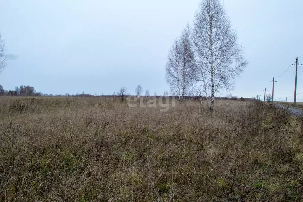 Участок в Кемеровская область, Прокопьевский район, с. Верх-Егос  ... - Фото 1