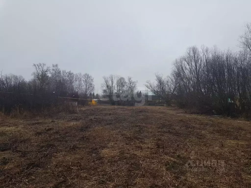 Участок в Марий Эл, Новоторъяльский район, д. Чуксола Набережная ул. ... - Фото 2