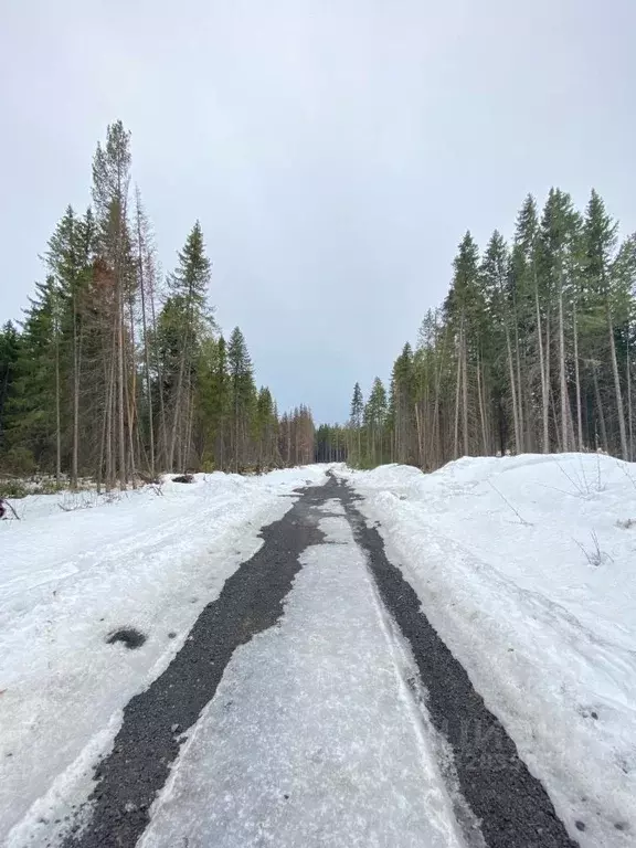 Участок в Свердловская область, Ревда ул. Тополиная (10.0 сот.) - Фото 1