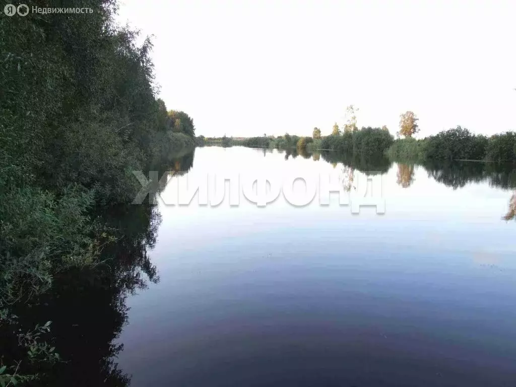 Участок в Колыванский район, садовые участки Лира (11.53 м) - Фото 0