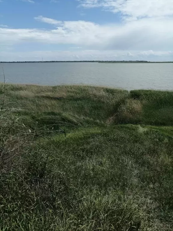 Дом в Ростовская область, Неклиновский район, с. Натальевка ул. ... - Фото 1