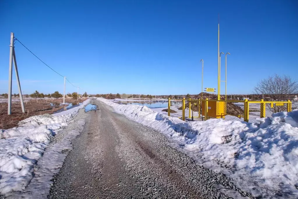 Участок в Алтайский край, Первомайский район, с. Фирсово, Рощино мкр ... - Фото 1