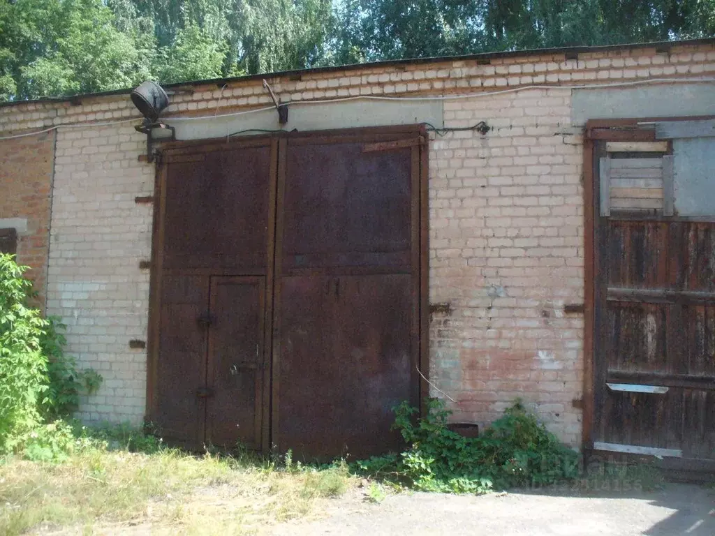 Офис в Курская область, Дмитриев-Льговский Дмитриевский район, Рабочая ... - Фото 1