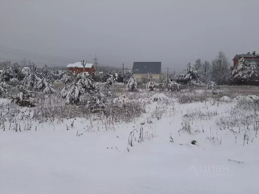 Участок в Московская область, Раменский городской округ, с. Речицы ул. ... - Фото 0