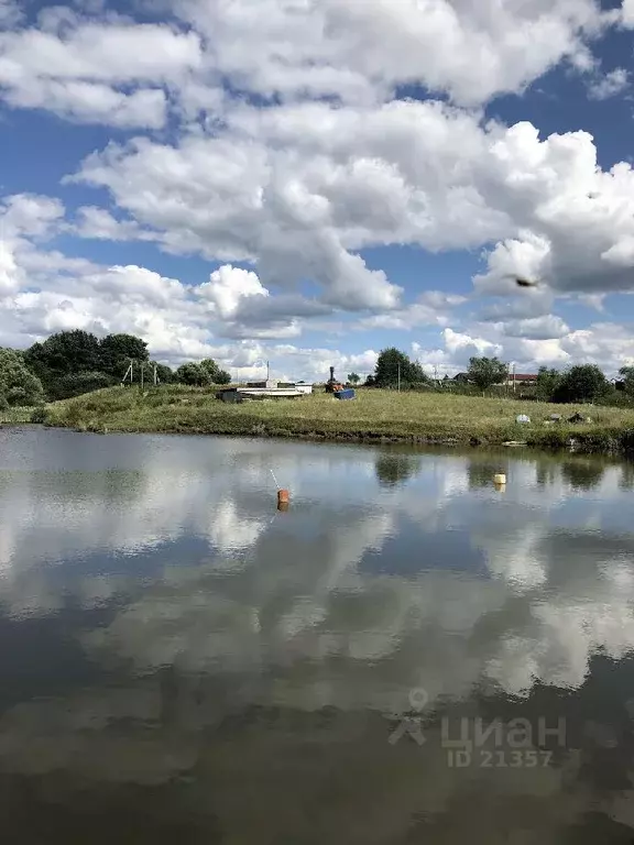 Участок в Тульская область, Ясногорский район, Ревякинское ... - Фото 0