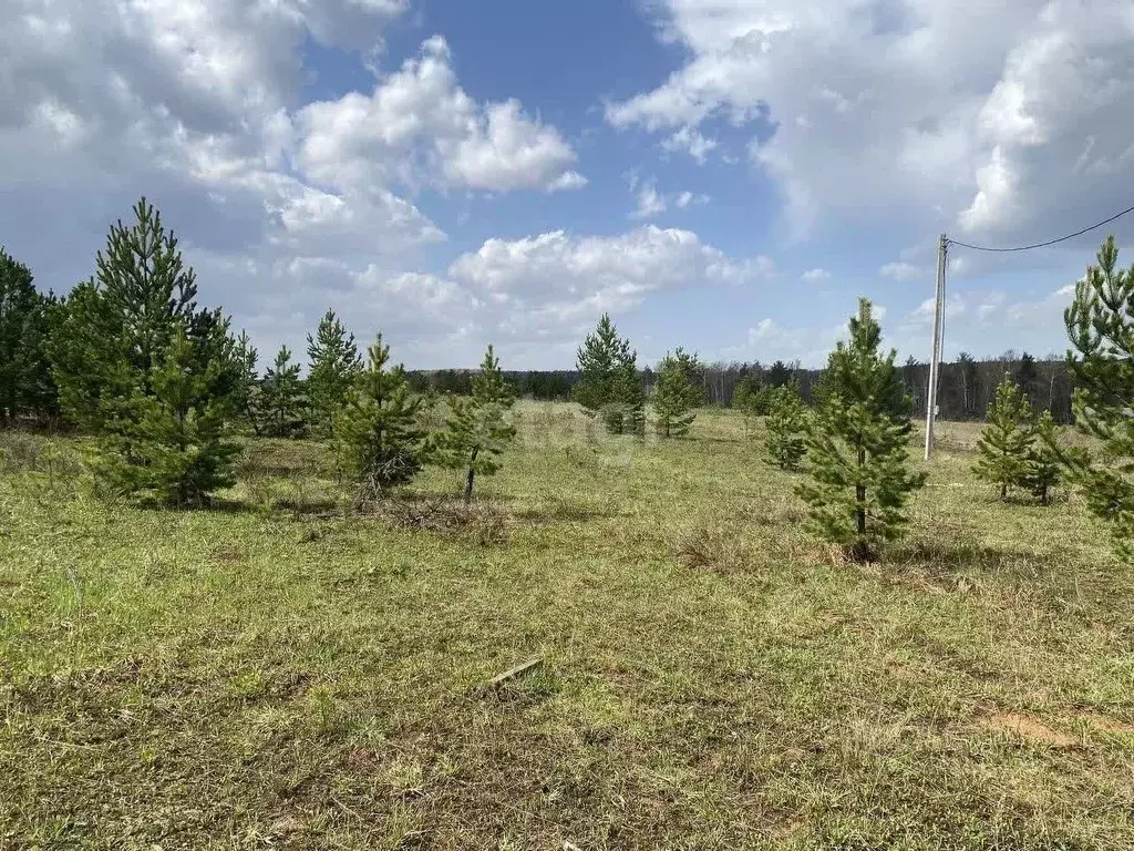 Участок в Свердловская область, Белоярский городской округ, д. Гусева ... - Фото 1