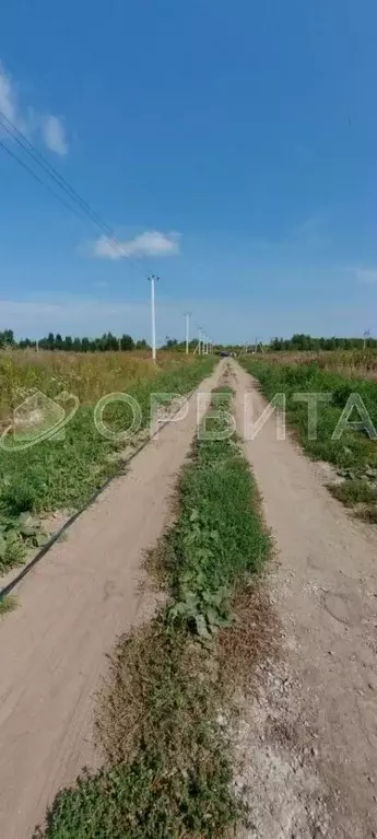 Участок в Тюменская область, Тюменский район, с. Борки  (8.0 сот.) - Фото 2