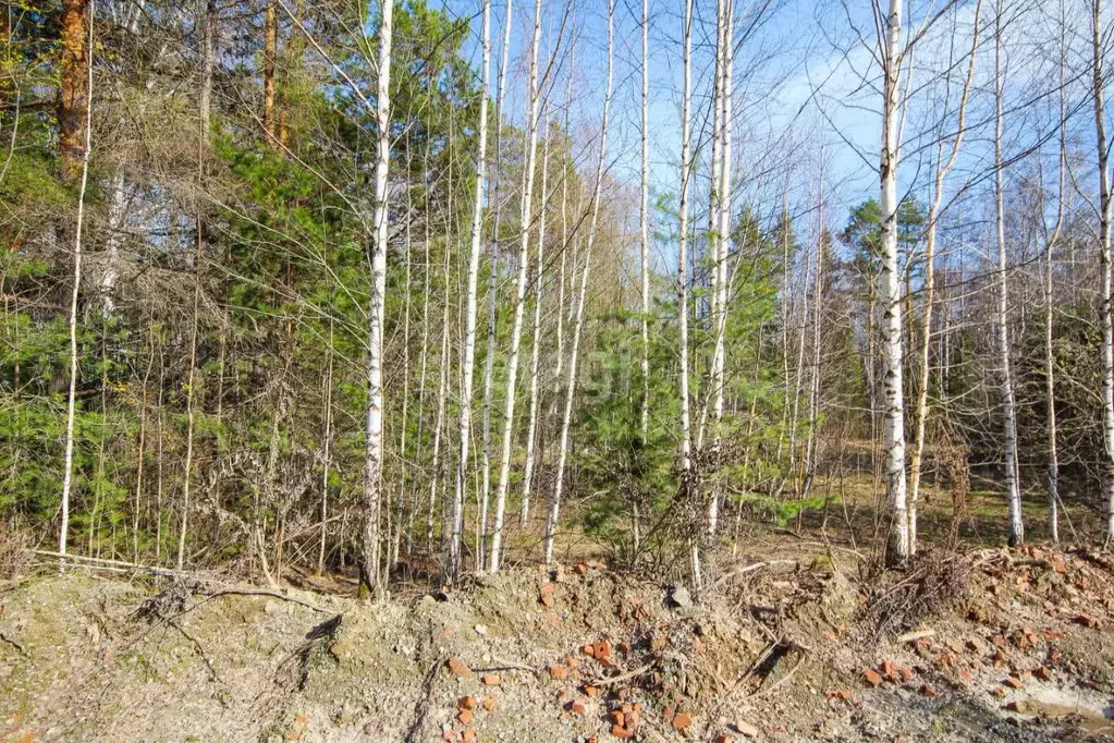 Участок в Свердловская область, Ревда городской округ, пос. Ледянка  ... - Фото 1