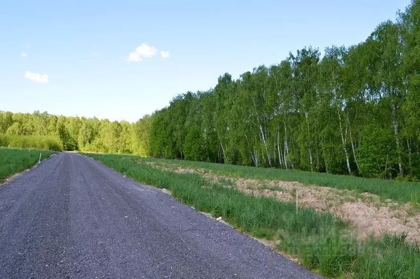 Участок в Московская область, Домодедово городской округ, д. Матчино  ... - Фото 1