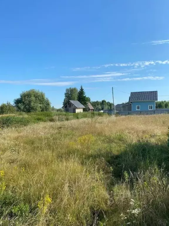 Дом в Тюменская область, Тюменский муниципальный округ, д. Криводанова ... - Фото 1