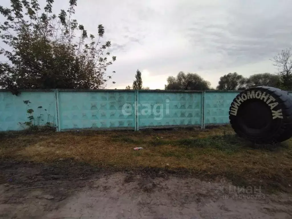 Участок в Белгородская область, Волоконовский район, Пятницкое рп ул. ... - Фото 1