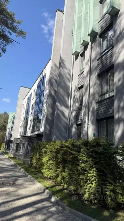 Студия Санкт-Петербург, Санкт-Петербург, Сестрорецк ул. Максима ... - Фото 0