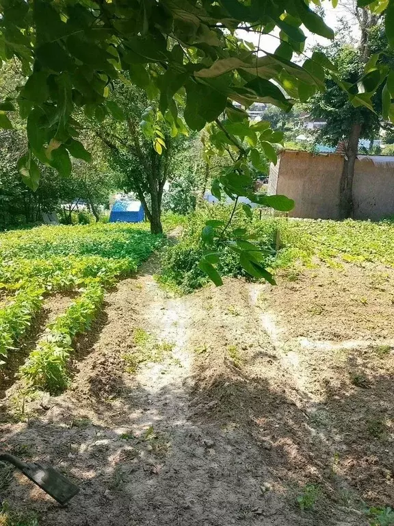 Участок в Калужская область, Калуга городской округ, д. Лихун 4 (5.26 ... - Фото 2