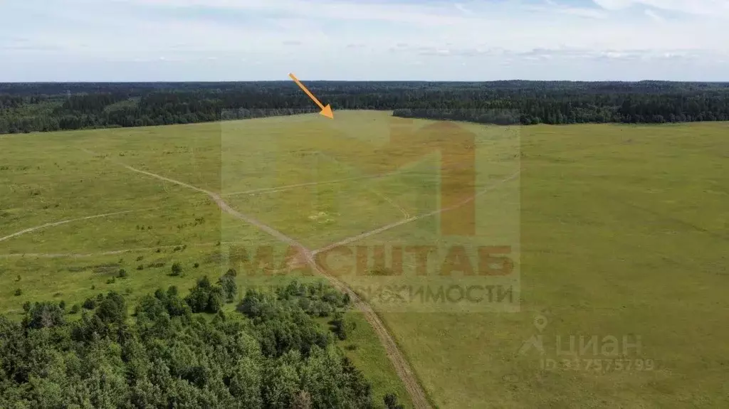 Участок в Ленинградская область, Волосовский район, Клопицкое с/пос, ... - Фото 1