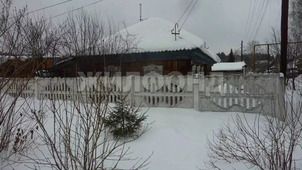 Дом в Новосибирская область, Новосибирск Пихтовая ул., 17 (62 м) - Фото 0
