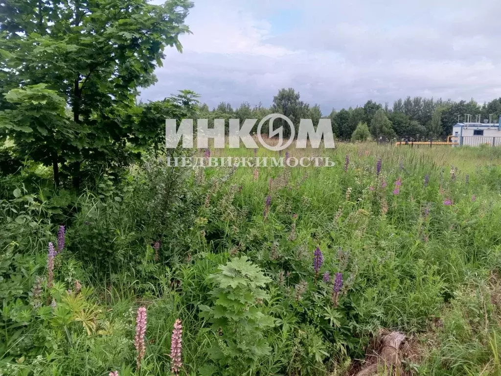 Дом в Московская область, Домодедово городской округ, д. Акулинино 16 ... - Фото 1