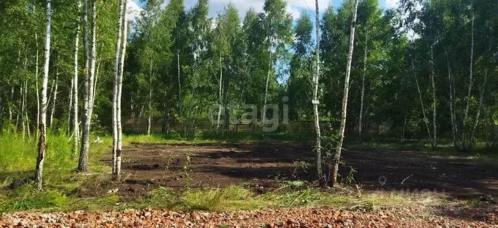 Дом в Воронежская область, Новоусманский район, с. Бабяково ул. ... - Фото 1