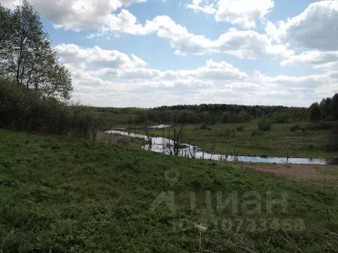 Участок в Калужская область, Барятинский район, Крисаново-Пятница ... - Фото 0