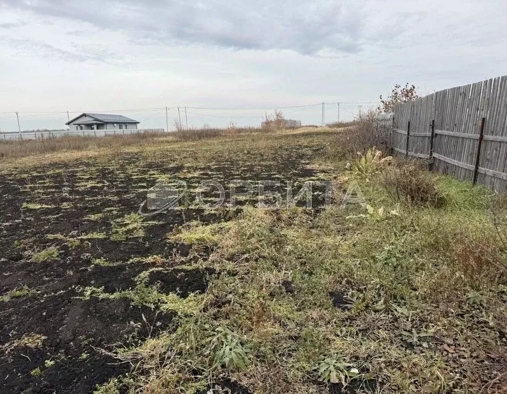 Участок в Тюменская область, Тюмень Утешево мкр, ул. Утешевская (8.24 ... - Фото 2