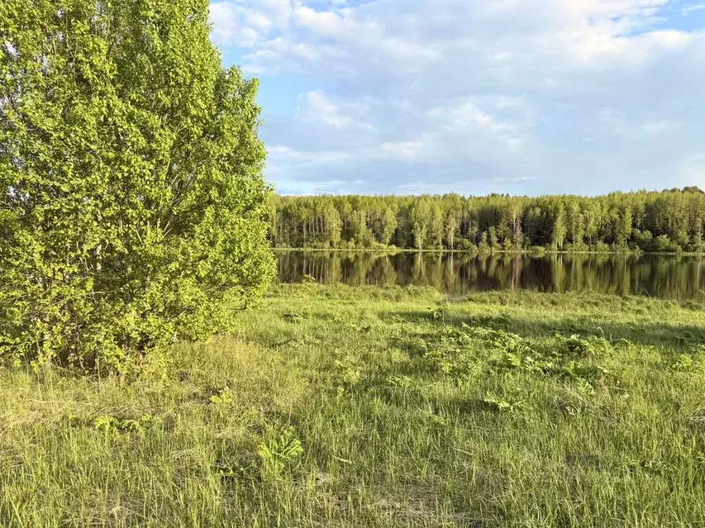 Участок в Московская область, Волоколамский муниципальный округ, д. ... - Фото 2