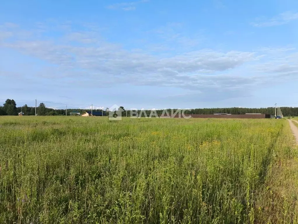 Участок в Ивановская область, Ивановский район, Балахонковское с/пос, ... - Фото 0