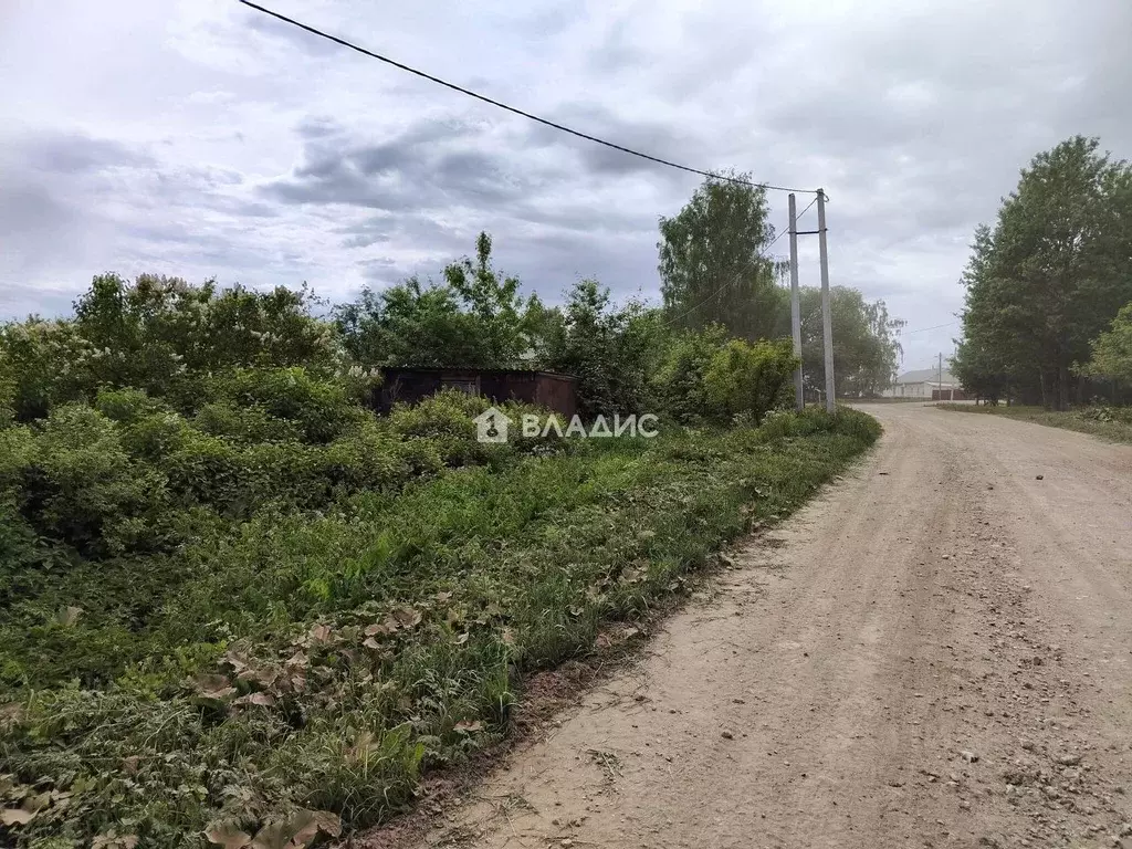 Участок в Владимирская область, Юрьев-Польский муниципальный округ, с. ... - Фото 1