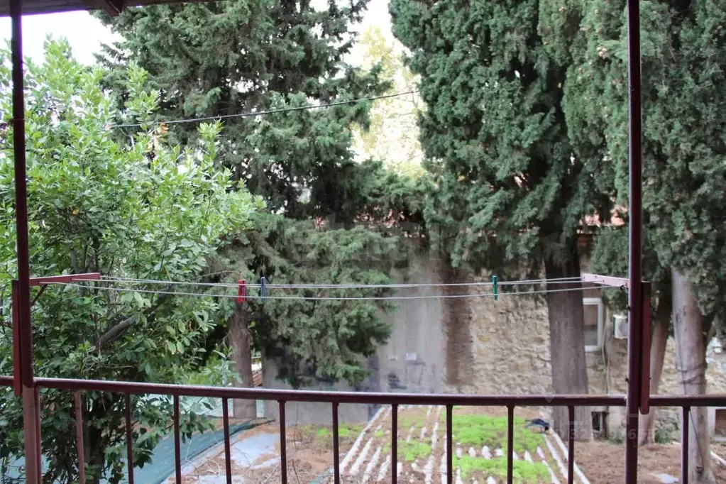 1-к кв. Крым, Ялта ул. Поликуровская, 13 (18.6 м) - Фото 2