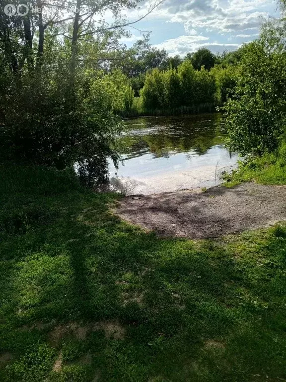Участок в Воронежская область, рабочий посёлок Рамонь (80 м) - Фото 1