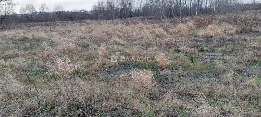 Участок в Калининградская область, Гурьевский муниципальный округ, ... - Фото 1