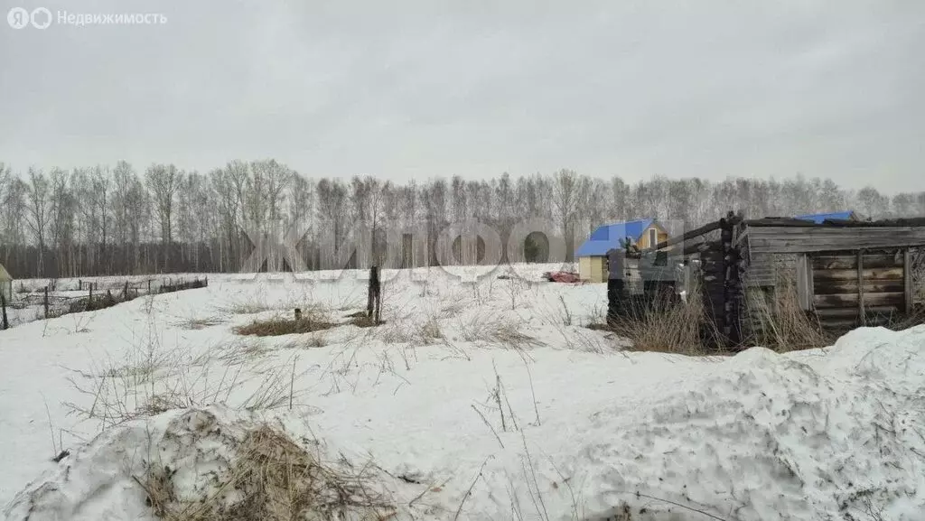 Участок в Станционный сельсовет, село Новокаменка, Калужская улица (49 ... - Фото 2